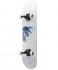 Скейтборд Ridex Malibu 31.6"x8" (2024)